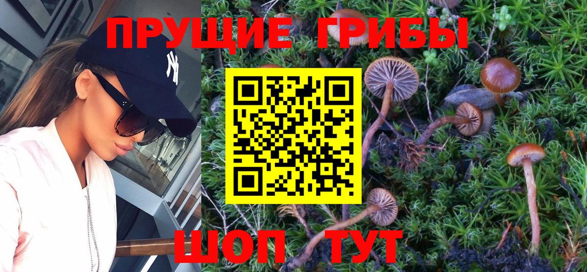 Галлюциногенные грибы Magic Shrooms  Вход с VPN  где купить наркотик  Воскресенск 