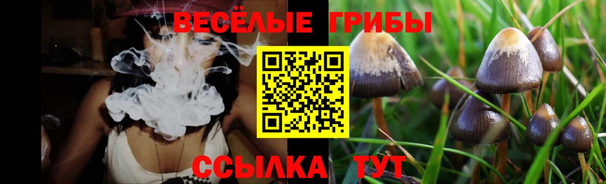 Псилоцибиновые грибы MAGIC MUSHROOMS Воскресенск